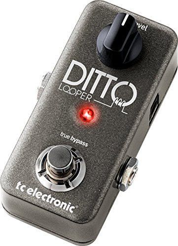 tc electronic 1ボタン ルーパー DITTO LOOPER