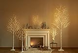 Hairui ブランチ ライト LED 枝 イルミネーション ツリー インテリア 間接照明 クリスマス 高さ80cm 150電球 オシャレ 北欧 防水 白樺(花瓶が含まない)