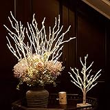 Hairui ブランチ ライト LED 枝 イルミネーション ツリー インテリア 間接照明 クリスマス 高さ80cm 150電球 オシャレ 北欧 防水 白樺(花瓶が含まない)