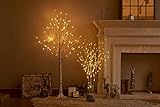 Hairui ブランチ ライト LED 枝 イルミネーション ツリー インテリア 間接照明 クリスマス 高さ80cm 150電球 オシャレ 北欧 防水 白樺(花瓶が含まない)