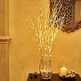 Hairui ブランチ ライト LED 枝 イルミネーション ツリー インテリア 間接照明 クリスマス 高さ80cm 150電球 オシャレ 北欧 防水 白樺(花瓶が含まない)