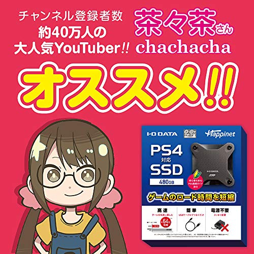 PS4対応 外付けSSD 480GB