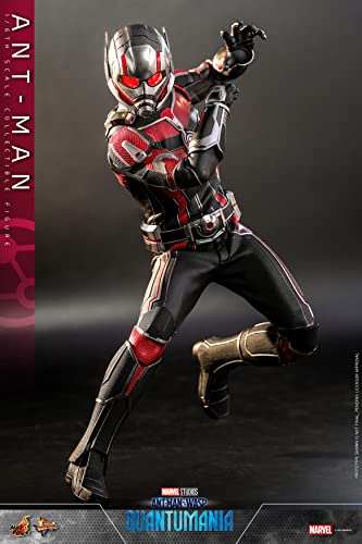 ムービー・マスターピース アントマン&ワスプ:クアントマニア アントマン 1/6スケールフィギュア