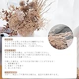 WillingYou ドライフラワー ブーケ 壁掛け 花束 ドライフラワー 風 造花 フェイク 前撮り 玄関 インテリア テーブル 装飾 花 プレゼント 1束入り ベージュ