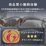 アイリスプラザ 羽毛布団 ホワイトダックダウン80％ シングル 羽毛パワーアップ加工済 ホワイトダックダウンをリッチに配合 自宅洗濯OK お手入れ簡単 グレー