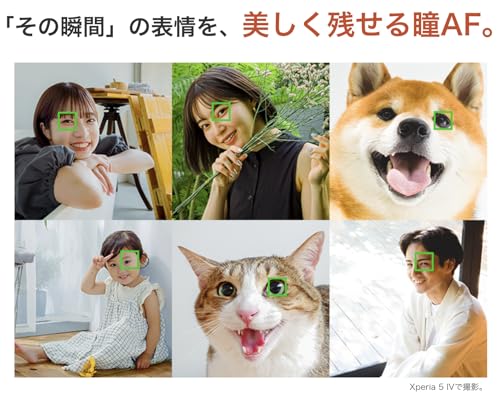 【整備済み品】SONY Xperia 5 IV OS種類：Android 12以上 販売時期：2022年秋モデル 画面サイズ：6.1インチ 内蔵メモリ：ROM 128GB RAM 8GB バッテリー容量：5000mAh (SO-54C(docomo版), パープル)