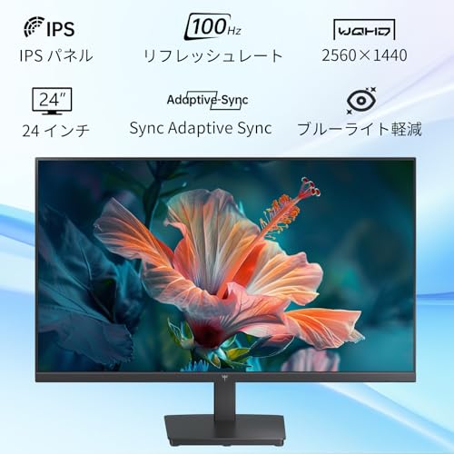 KTC 24インチ モニター WQHD(2560×1440) 100Hz IPSパネル ブルーライト軽減 FreeSync & G-Sync サポート オフィス＆カジュアルゲーミング対応 122%sRGB 高色域対応 PCモニター H24T27