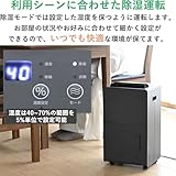 [山善] 除湿機 衣類乾燥 除湿器 コンプレッサー式 小型 強力除湿 除湿量 6.0L 衣類モード 切タイマー キャスター付き ダークグレー EDC-H601(B)