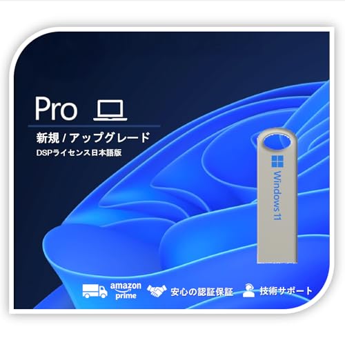 【Windows11 Pro】 DSPライセンス日本語版(インストールUSB付)