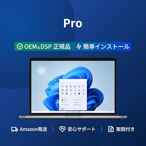 Windows11向け DSPライセンス日本語 (Pro取説付き)