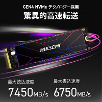 HIKSEMI SSD 2TB 放熱シート付き 高耐久性(TBW:3600TB) NVMe SSD PCIe Gen 4.0×4 読み取り:7,450MB/s 書き込み:6,750MB/s 【新型PS5】PS5 動作確認済 拡張可能 内蔵 M.2 Type 2280 3D TLC NAND かんたん取付け 国内5年保証 HS-SSD-FUTURE-2048G