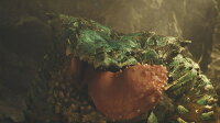 モンスターハンターワイルズ