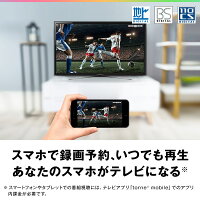 バッファロー BUFFALO nasne ナスネ HDD ハードディスク レコーダー ネットワーク NAS ストレージ 大容量 2TB スマホ スマートフォン タブレット パソコン テレビ TV 番組 長時間 録画 録画機能 視聴 再生 地デジ 地上デジタル BS CS 放送 チューナー NS-N100