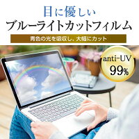 11.6インチ (256×144mm) ブルーライトカット フリーカット フィルム パソコン 液晶保護フィルム パネル 反射防止 指紋防止 気泡レス加工 メール便 送料無料 jgs bgt 互換品 有償交換保証付き