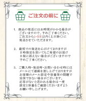 【レビューキャンペーン実施中!】PS4 デュアルショック4 純正コントローラー ミッドナイトブルー DUALSHOCK4 プレステ 周辺機器 【中古】【ソフトプレゼントの詳細は商品説明の画像をクリック！】