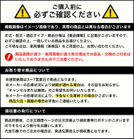 【ワンダフルデー！店内全品ポイント3倍 3/1 0:00~3/1 23:59 】HONDA ホンダ 純正 アクセサリー パーツ アコード ACCORDナンバープレートロックボルト(ロゴステッカー付) 08P25-PS5-000A CY2