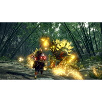 カプコン 【Switch】モンスターハンターライズ Best Price [HAC-3-AXSEA NSW モンスターハンターライズ レンカ]