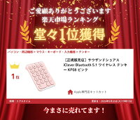 ［楽天ランキング1位獲得］［正規販売店］サウザンドショアス iClever Bluetooth 5.1 ワイヤレス テンキー KP08 ピンク アイクレバー 左手デバイス Tabキー付き 耐久性 薄型 充電式 iMac MacBook対応 電卓 丸いキー Windows Mac iPad 確定申告 rts24