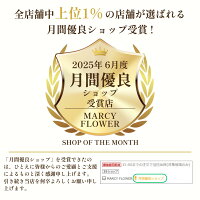 ＼超高評価★4.76獲得！／月間優良受賞店☆最大90日保証☆防水＆衝撃吸収！【送料無料！】psポータル ケース PS5 収納ケース playstation portal ケース プレイステーション ポータル ケース ps portal playstation ケース ケース psポータブル psポータル