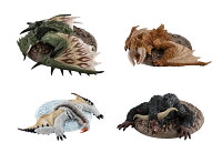 モンスターハンター 捕獲し隊3 ノーマル 全4種セット コンプ コンプリートセット