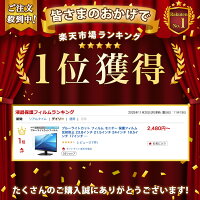 【ポイント2倍】 【楽天1位】 ブルーライトカット フィルム モニター 保護フィルム 反射防止 23.8インチ 21.5インチ 24インチ 18.5インチ 17インチ 17.3インチ 24.5インチ 23.6インチ 23インチ 27インチ 19インチ 19.5インチ 20インチ 22インチ パソコン デスクトップ PC