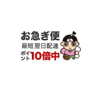 【中古】 アナと雪の女王　エルサのサプライズ / 斎藤 妙子 / 講談社 [単行本]【ネコポス発送】