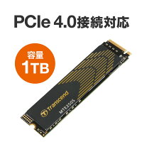 M.2 SSD 1TB NVMe 1.4準拠 PCIe Gen4×4 3D NAND PS5 TS1TMTE250S トランセンド Transcend