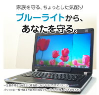【全品10%OFFクーポン★5/9 20時〜5/16 01:59まで】ブルーライトカット ノートPC用保護パネル 15.6インチ 15.6型 【カット率44.73％】【ノートパソコン 保護パネル 保護フィルム 液晶 保護 パネル テレビカバー パソコン PC テレワーク】 NB-156