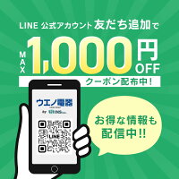 【P5倍★11日9:59迄】 インターホン カメラ付き 4.3インチ 交換 アイリスオーヤマ コード式 防犯 取り付け 大画面 工事 録画機能 自動録画 ドアホン テレビドアホン インターフォン 簡単操作 広角レンズ TD-SM3010-WSH