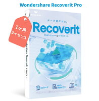 安全で効率的なデータ復元 Wondershare Recoverit Pro【1ヶ月ライセンス】（Windows版) データ復元ソフト　写真、動画、ドキュメントなど全種類のファイル、ビデオ・オーディオ　電子メール復元　HDD、SDカード　USB復元、復旧 Windows11対応 ワンダーシェアー
