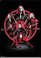 アベンジャーズ エンドゲーム INFINITY SAGA クリアファイル&ステッカーセット(ブラック・ウィドウ) IG-3290